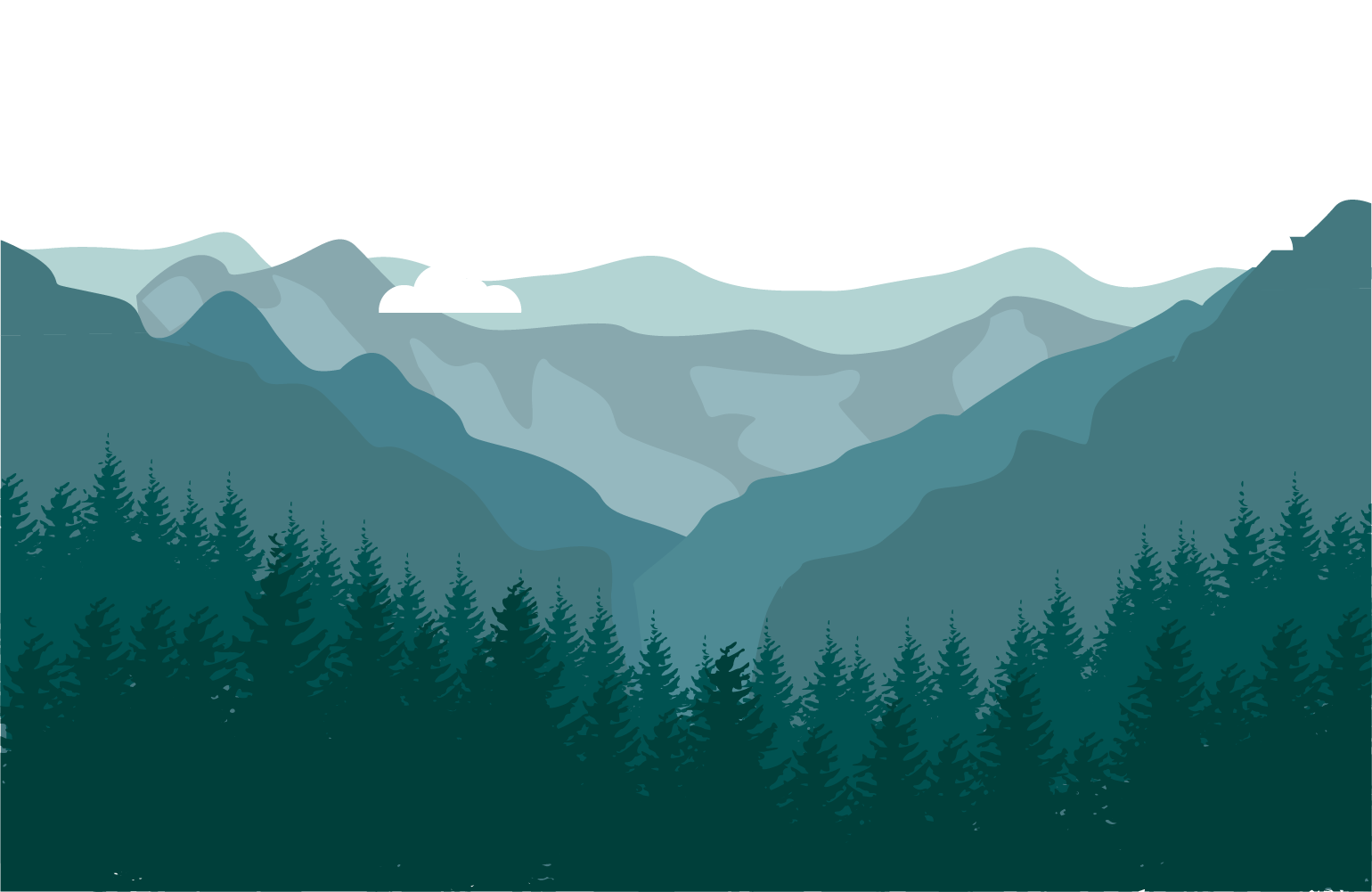 Private cab tour covering Munnar & Thekkady attractions